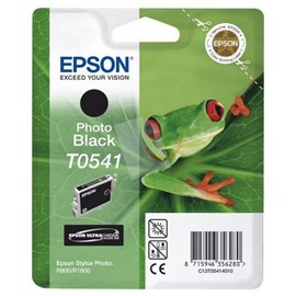 Epson C13T05414020 Foto Siyah Kartuş R800 R1800